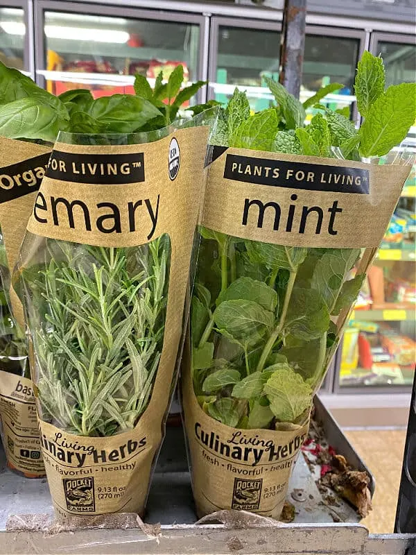 organic herbs at ALDI