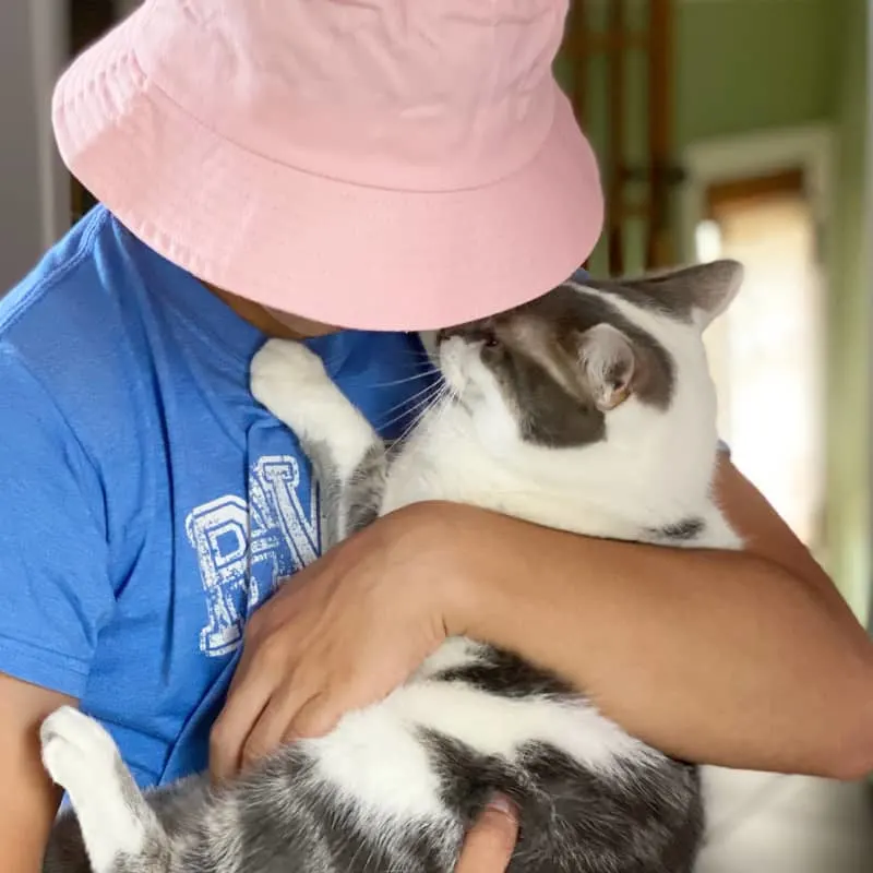 grey and white cat, pink hat boy