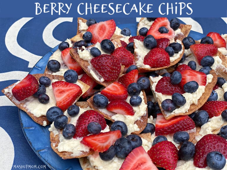 Berry Cheesecake Chips