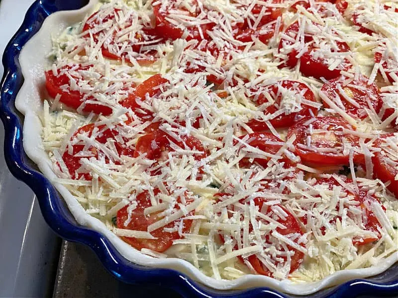 top quiche with tomatoes and parmesan
