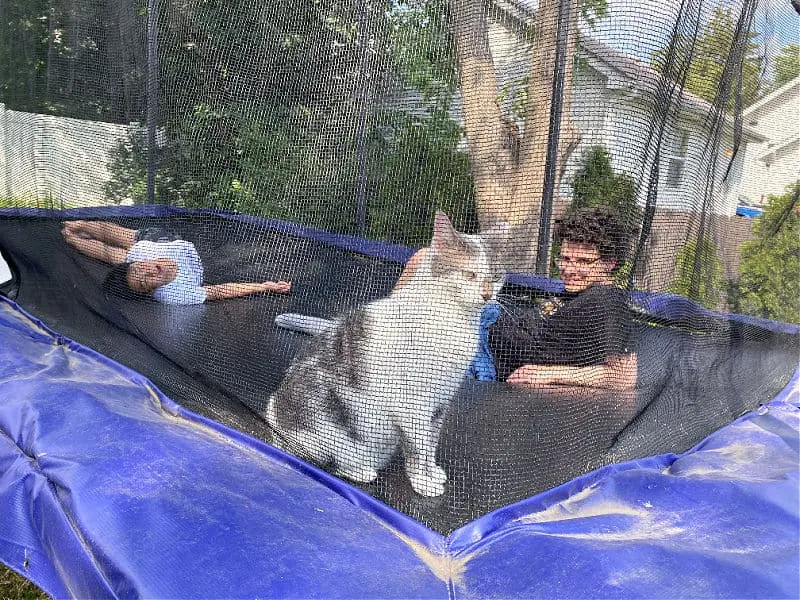 bad kitty on trampoline with boys