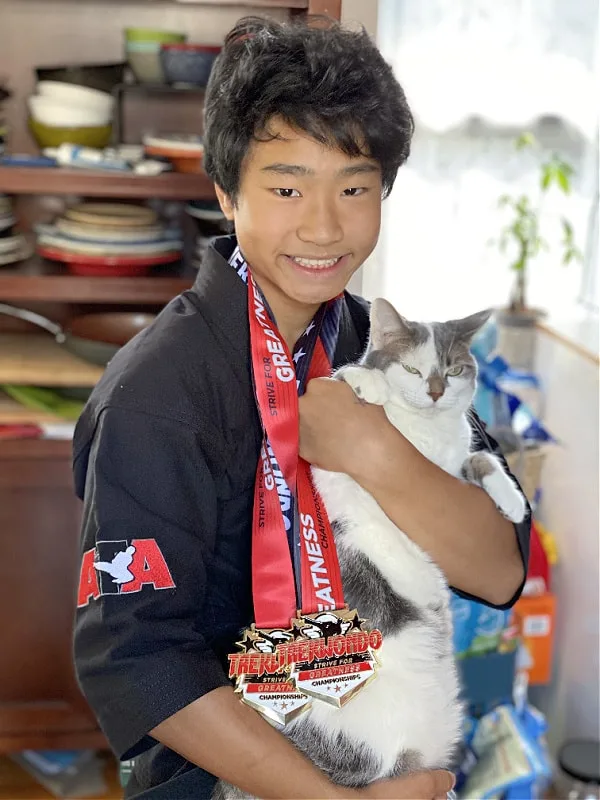 cat with taekwondo medals