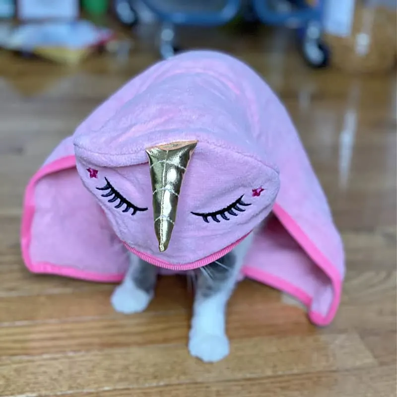 cat in unicorn towel