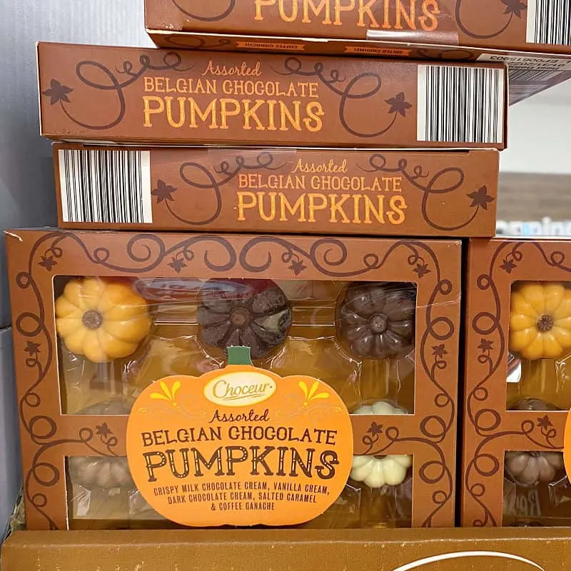 aldi chocolate pumpkins