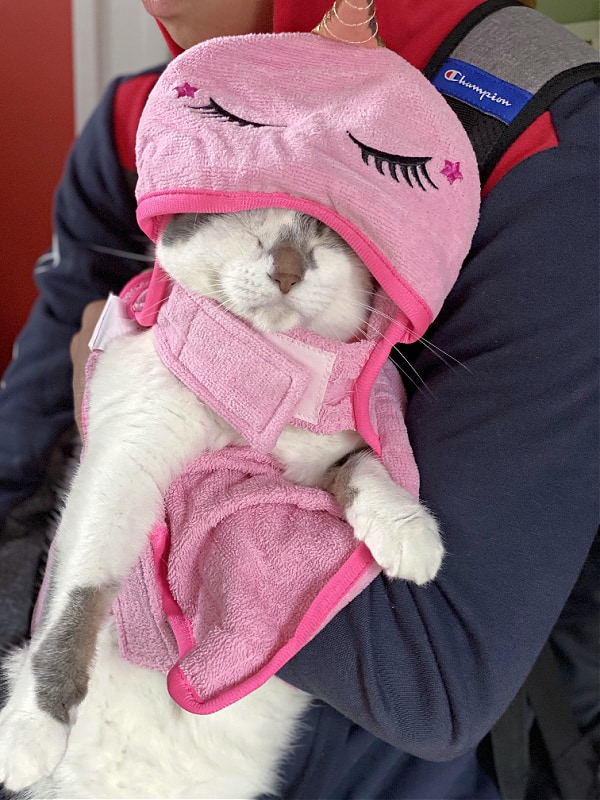 holding a cat in a unicorn towel