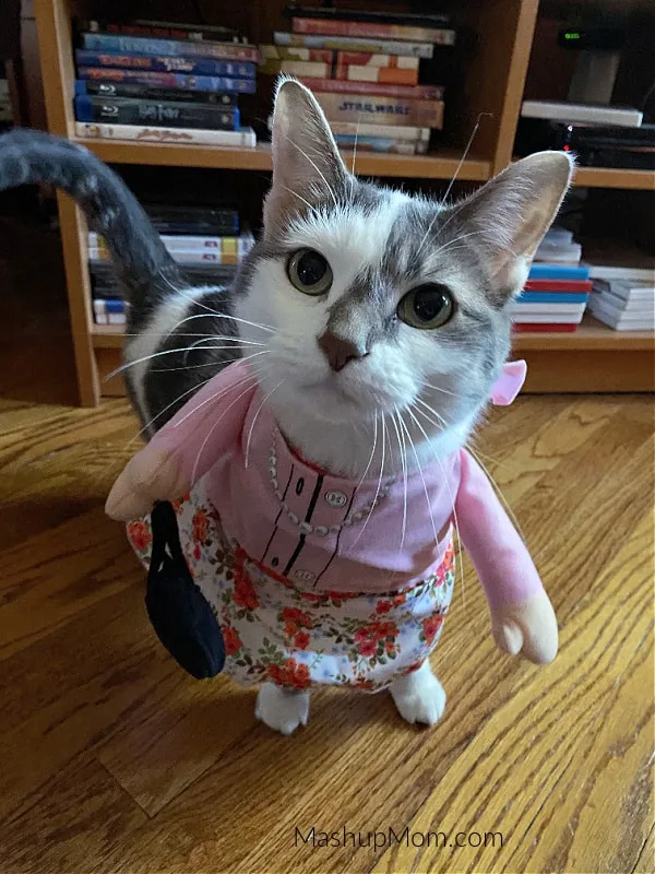halloween grandma cat costume