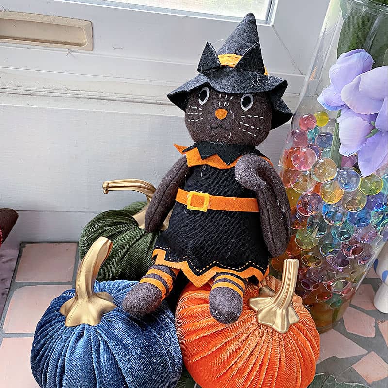 witch cat and fabric pumpkins