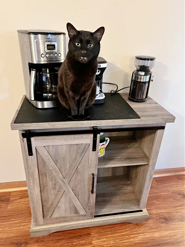 black cat on a gray coffee cabinet