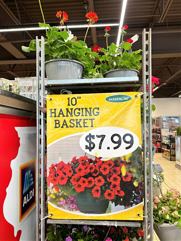 hanging baskets