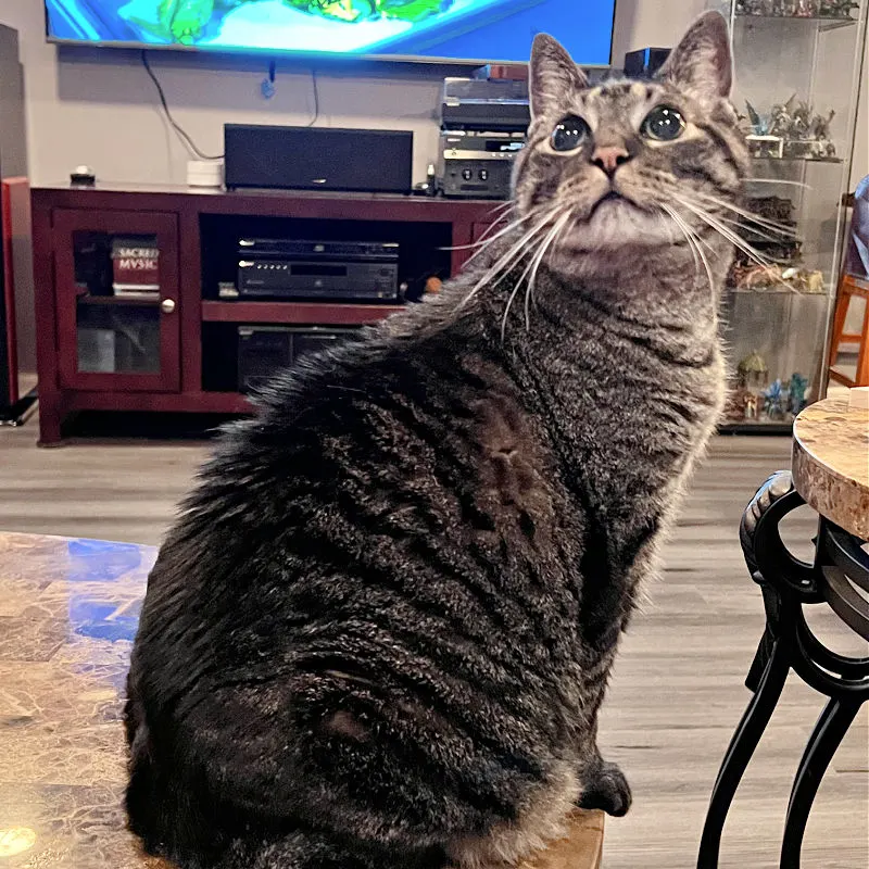 jeremy in front of the tv