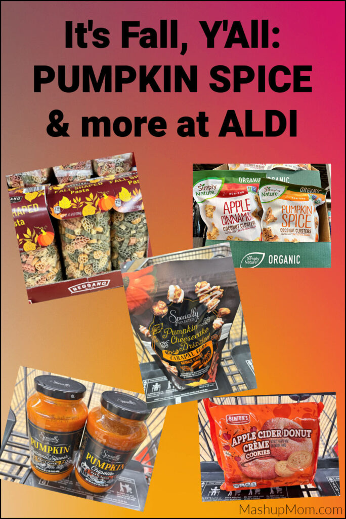 pumpkin spice and other fall products at aldi