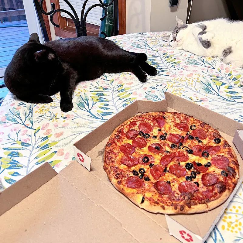 domino's pizza and two cats on a table