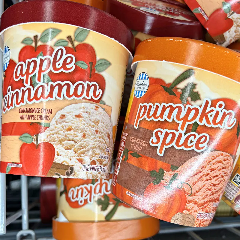 pumpkin spice and apple cinnamon ice cream