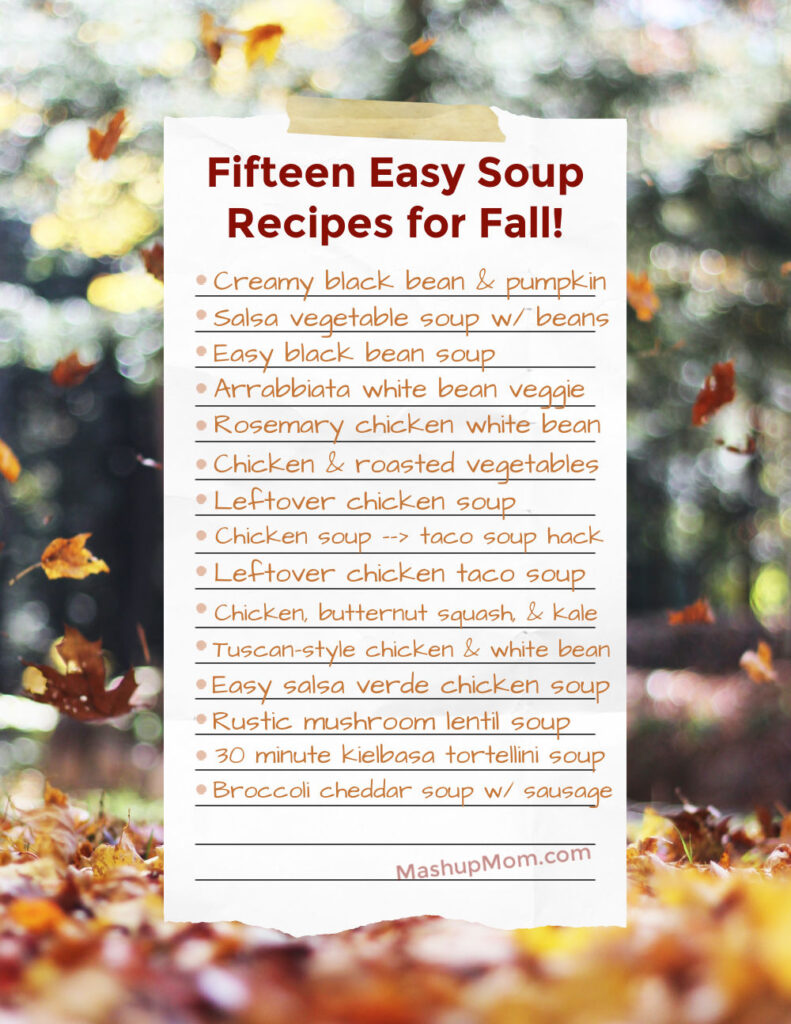 fifteen easy soup recipes for fall