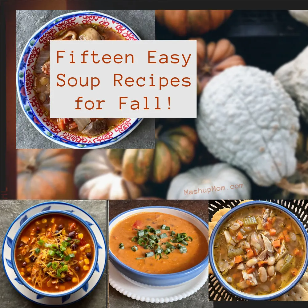 fifteen easy soup recipes for fall