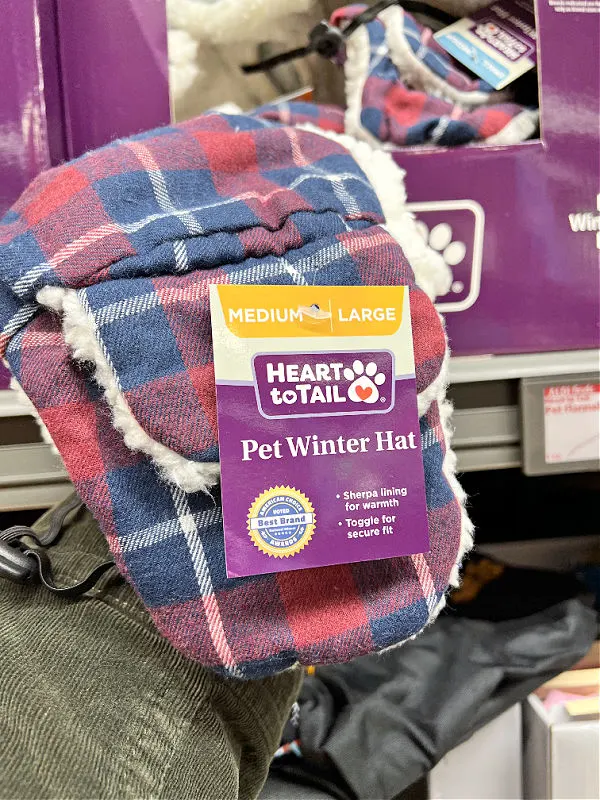 pet winter hat