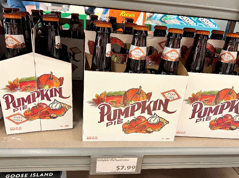 Halloween pizza + Day of the Dead plants ALDI Finds week of 10/5/22