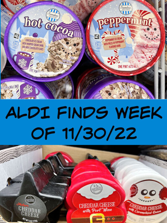 aldi Archives - Mashup Mom