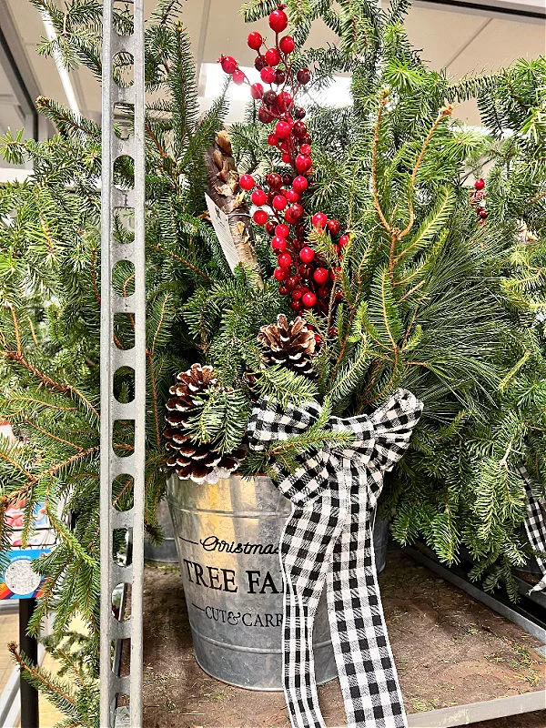 Christmas patio planter