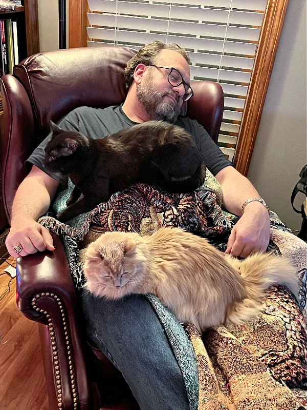 cats on blanket on man on chair