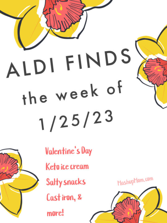 Free ALDI Meal Plan week of 1/29/23