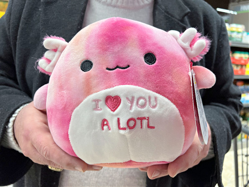 axolotl valentine's day squishmallow