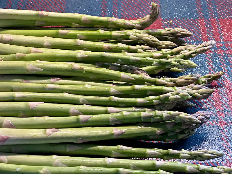 trimmed asparagus spears