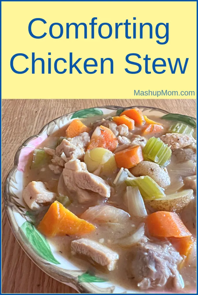 comforting chicken stew recipe showing finished bowl