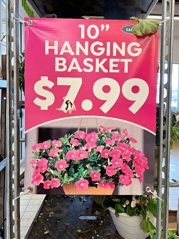 hanging baskets at aldi for $7.99