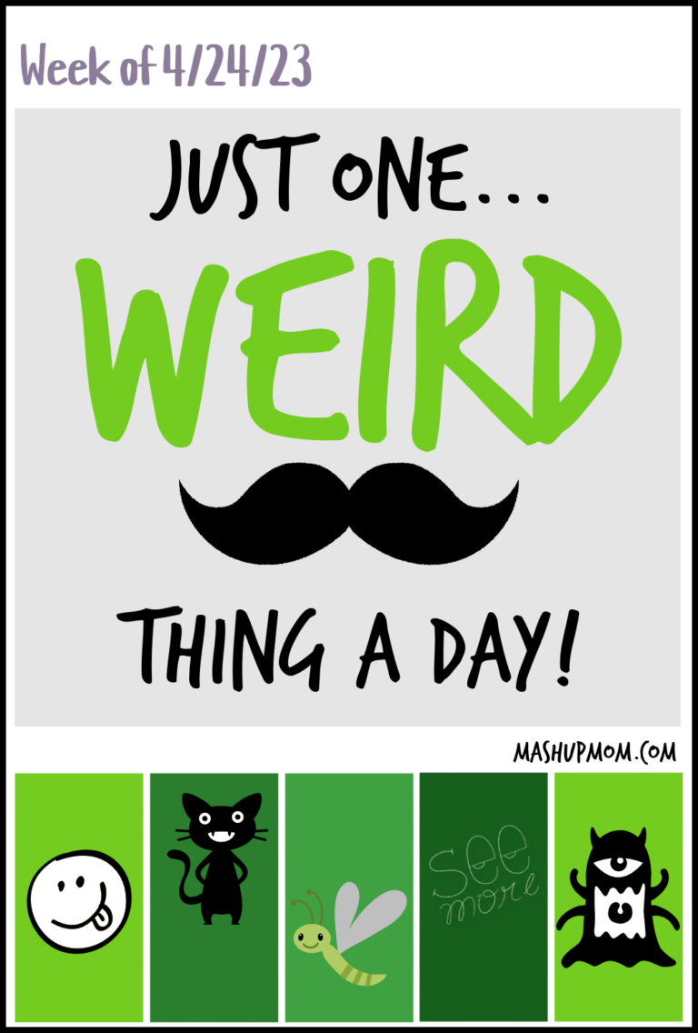 Bath bombs for gamers & big mouth cats: Weird Amazon Products week of 4/24/23
