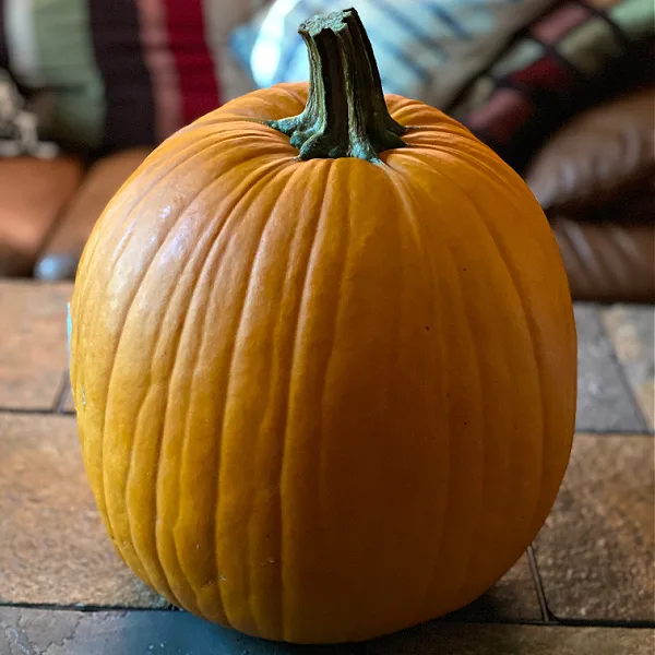 a perfect aldi pumpkin