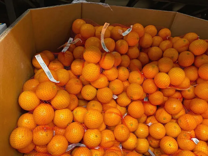 oranges at aldi
